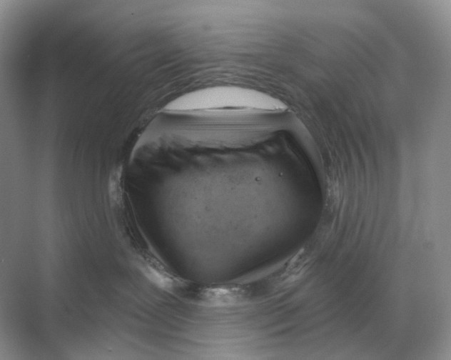 X0000068850239200606021743
