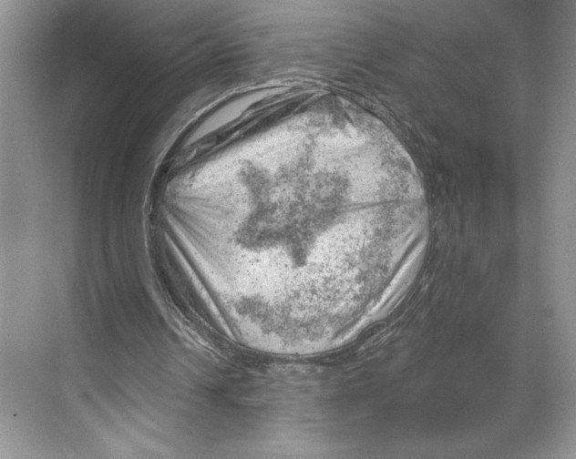 X0000068850242200606021742
