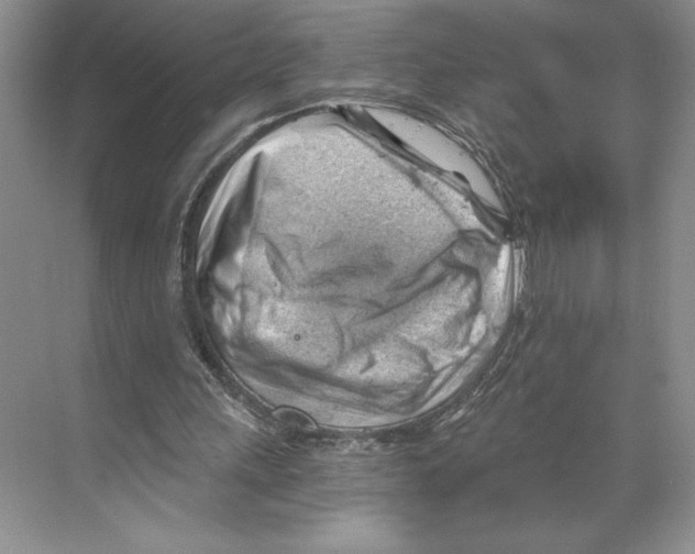 X0000068850243200606021742