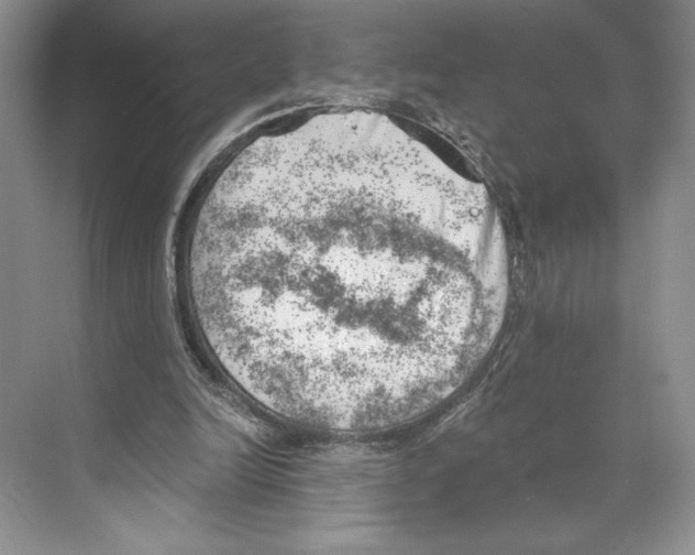 X0000068850246200606021742