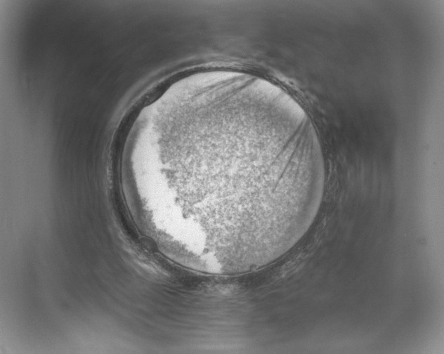 X0000068850247200606021742