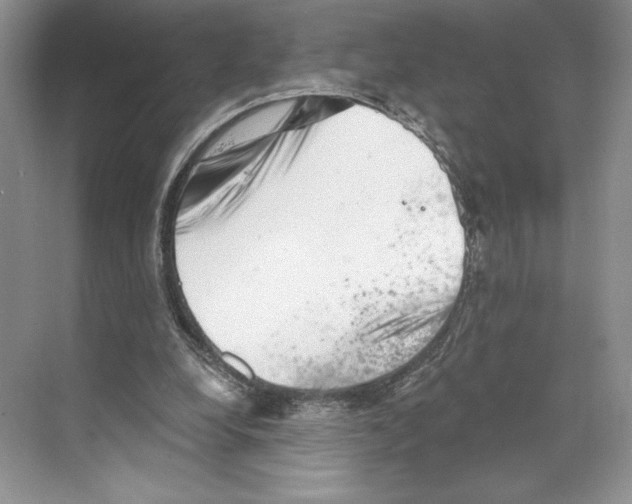 X0000068850248200606021742