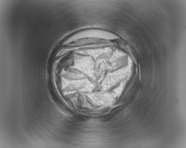 X0000068850252200606021742