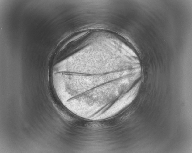 X0000068850253200606021742