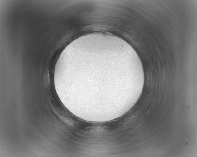X0000068850254200606021742