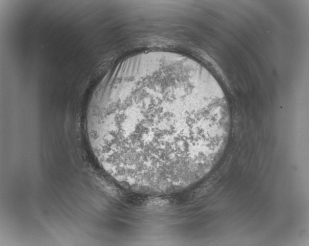 X0000068850257200606021742