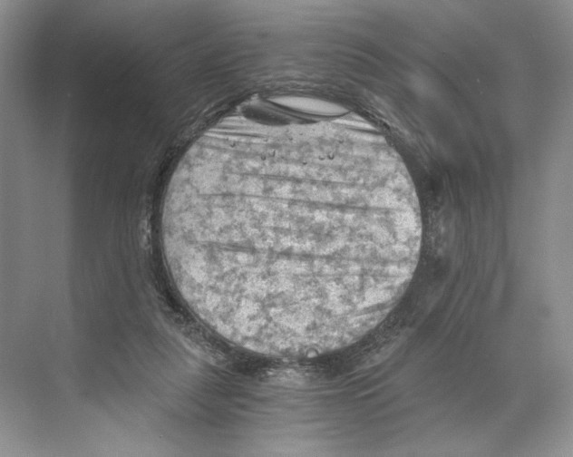 X0000068850259200606021742