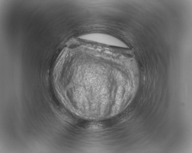 X0000068850263200606021742