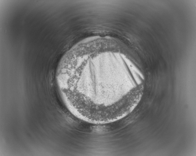 X0000068850273200606021742
