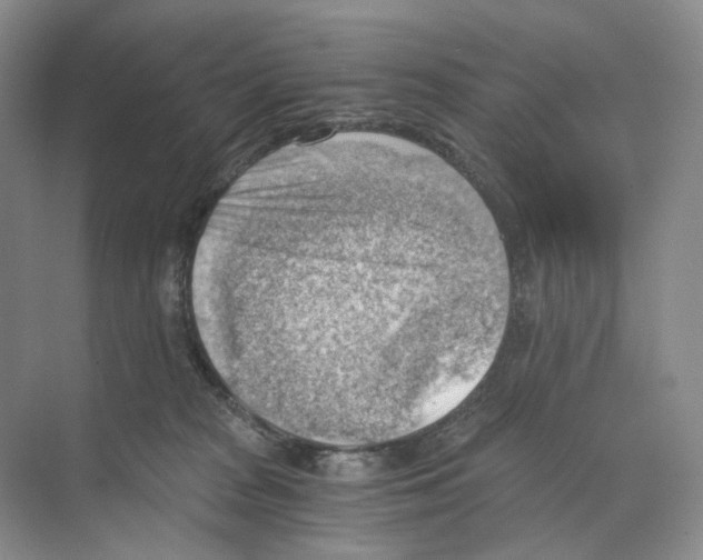 X0000068850277200606021742