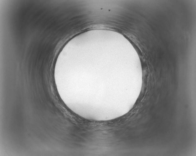 X0000068850289200606021742
