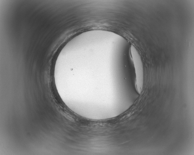 X0000068850291200606021742