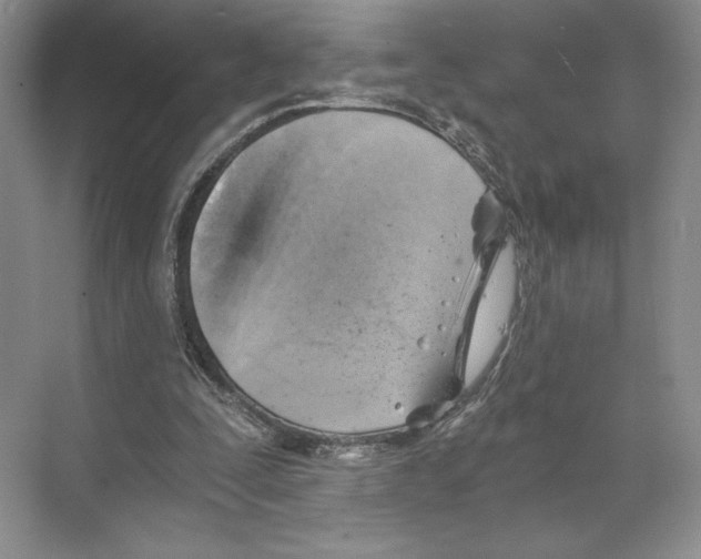 X0000068850295200606021742