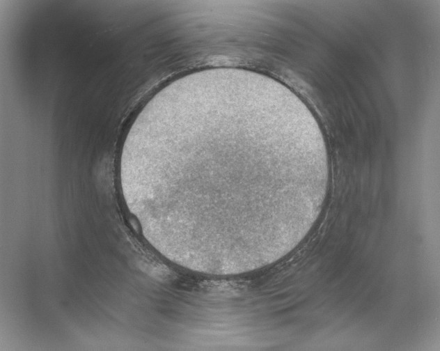 X0000068850297200606021742