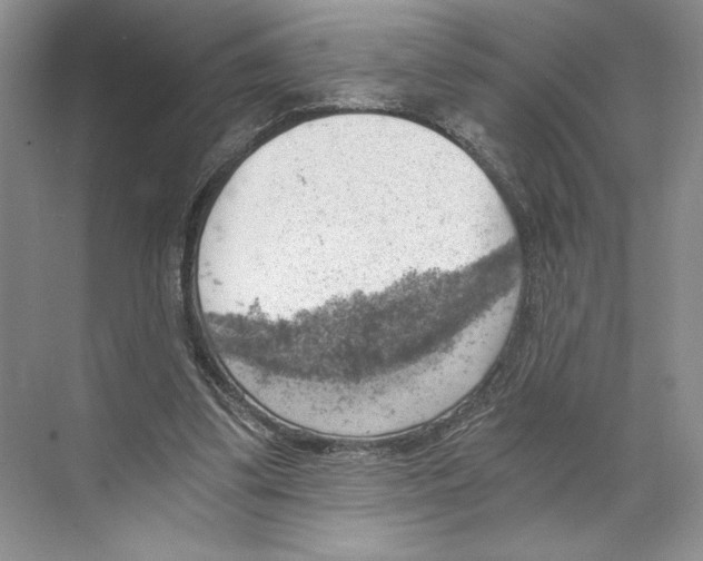 X0000068850299200606021742