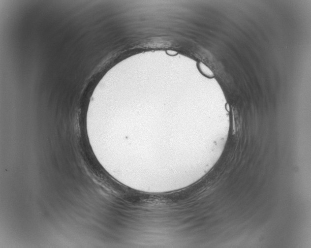 X0000068850300200606021742
