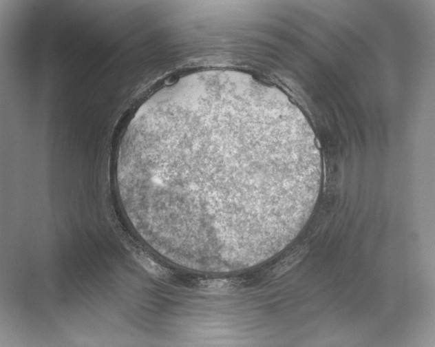 X0000068850301200606021742
