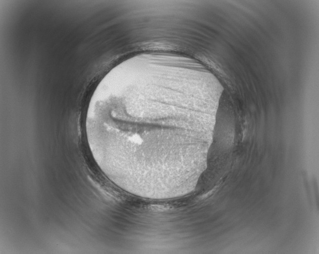 X0000068850302200606021742