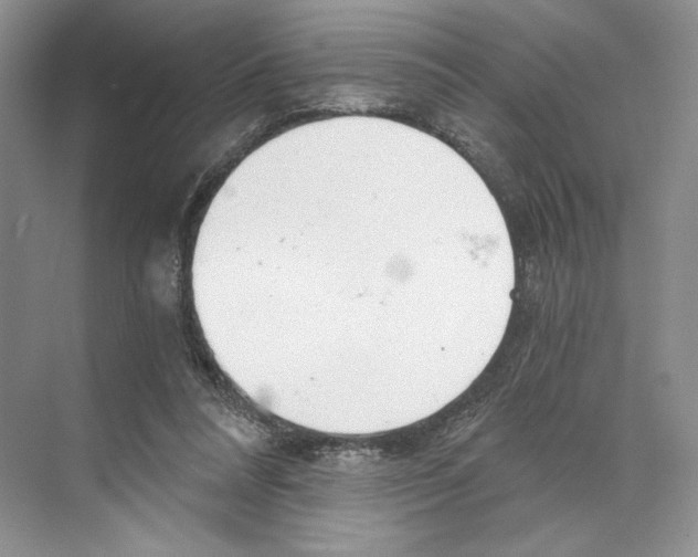 X0000068850304200606021742