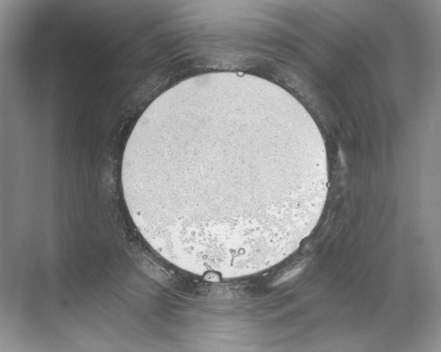 X0000068850305200606021742
