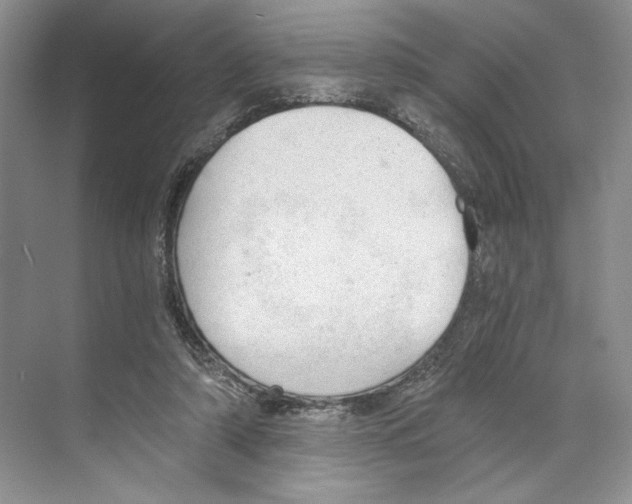 X0000068850306200606021742