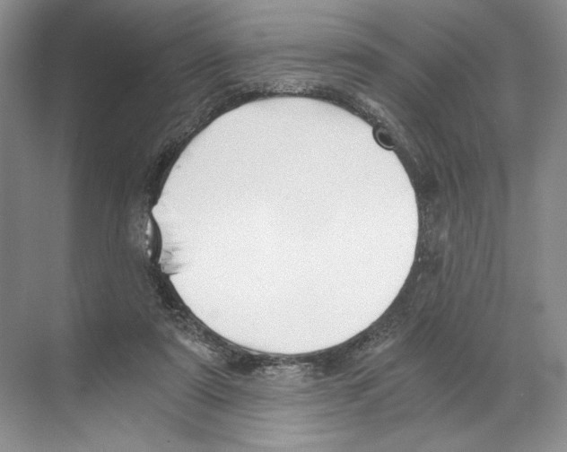 X0000068850307200606021742