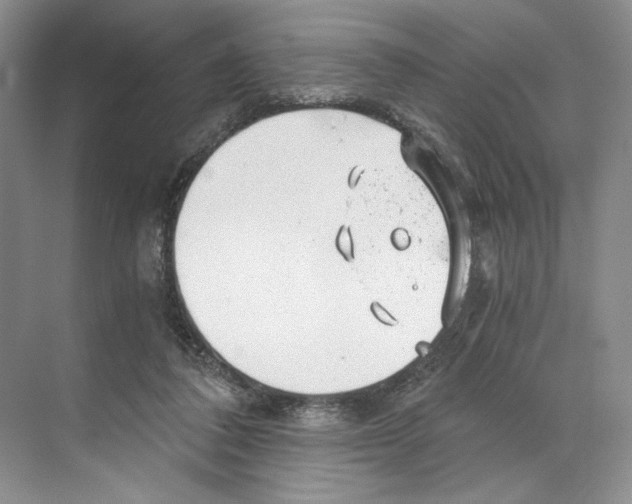 X0000068850308200606021742