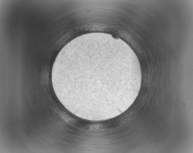 X0000068850309200606021742