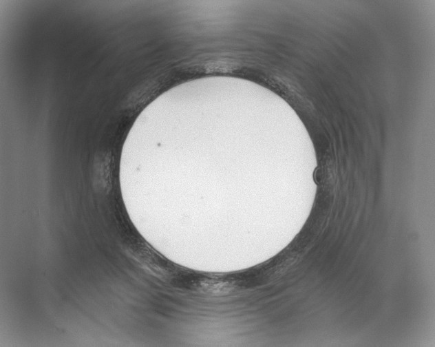 X0000068850311200606021741