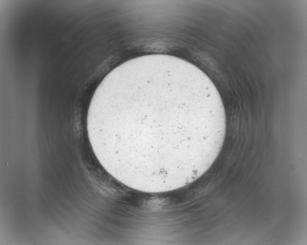 X0000068850312200606021741