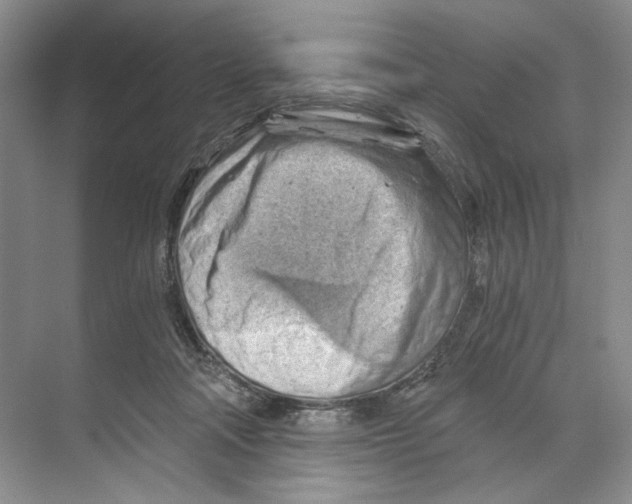 X0000068850314200606021741