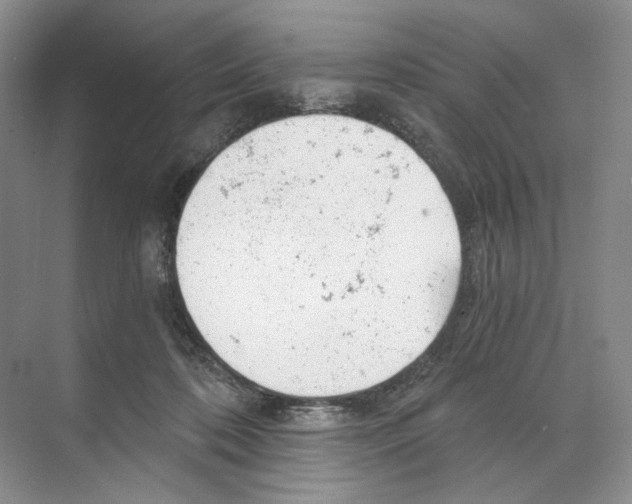 X0000068850316200606021741