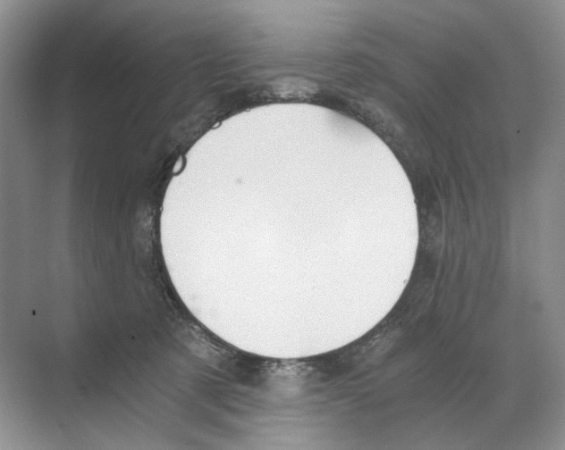 X0000068850321200606021741