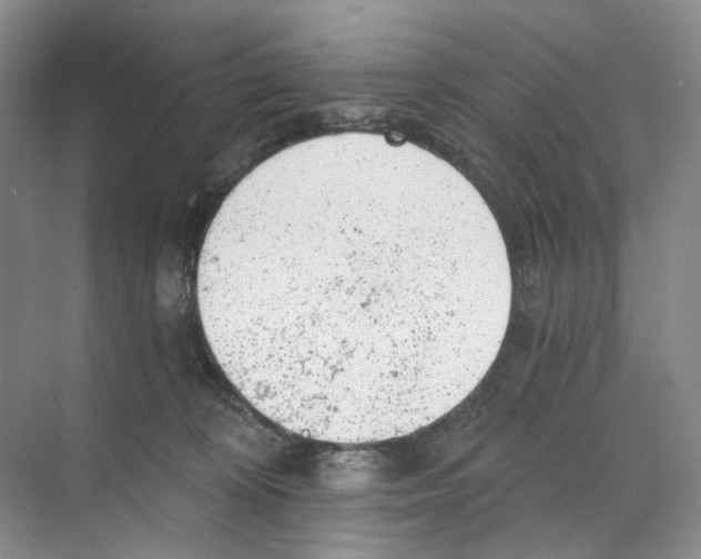 X0000068850324200606021741