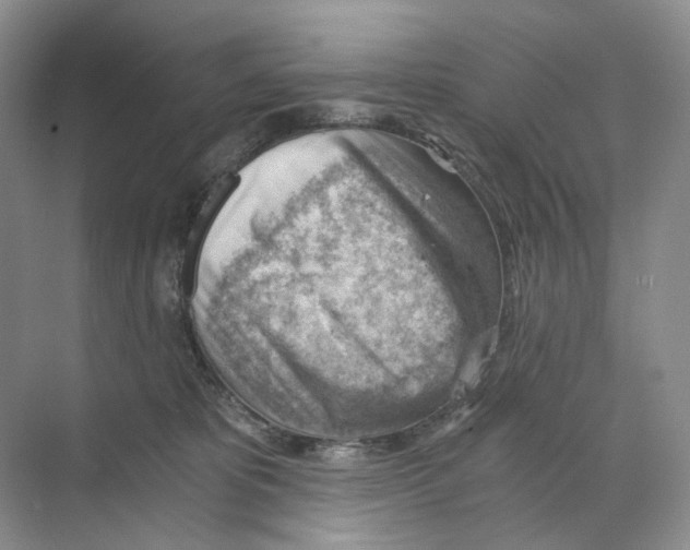X0000068850325200606021741