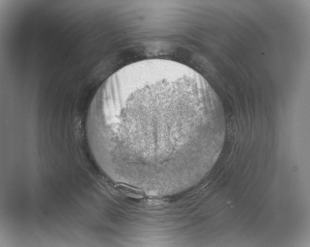 X0000068850327200606021741
