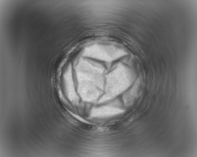 X0000068850329200606021741