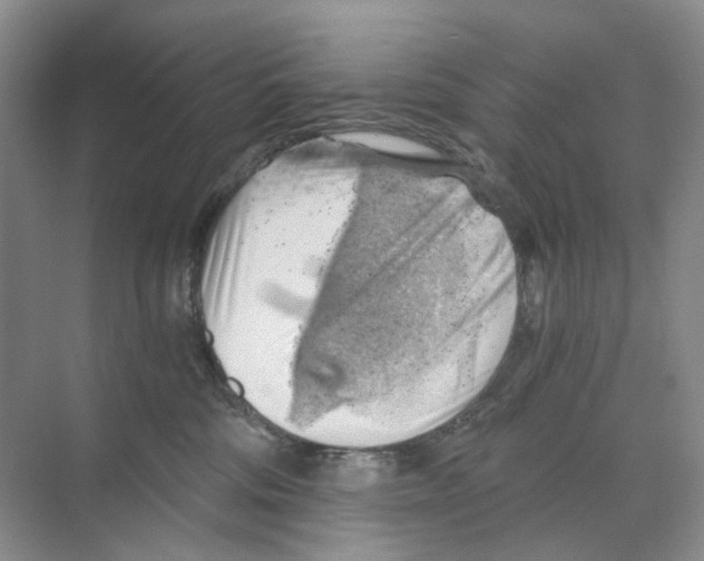 X0000068850330200606021741