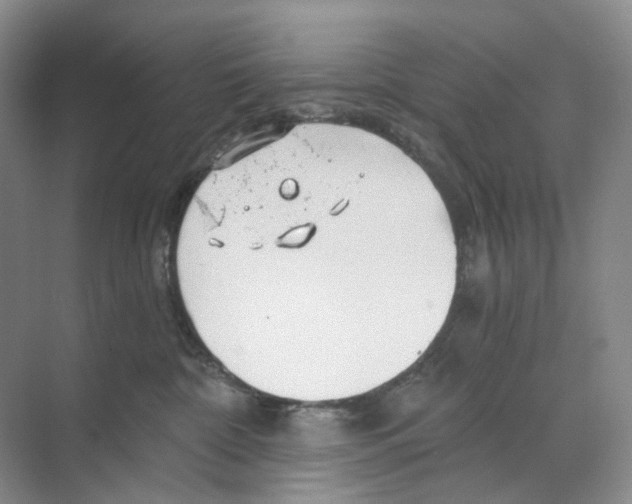 X0000068850332200606021741