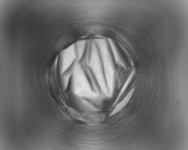 X0000068850333200606021741