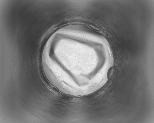 X0000068850341200606021740