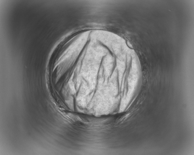 X0000068850342200606021740