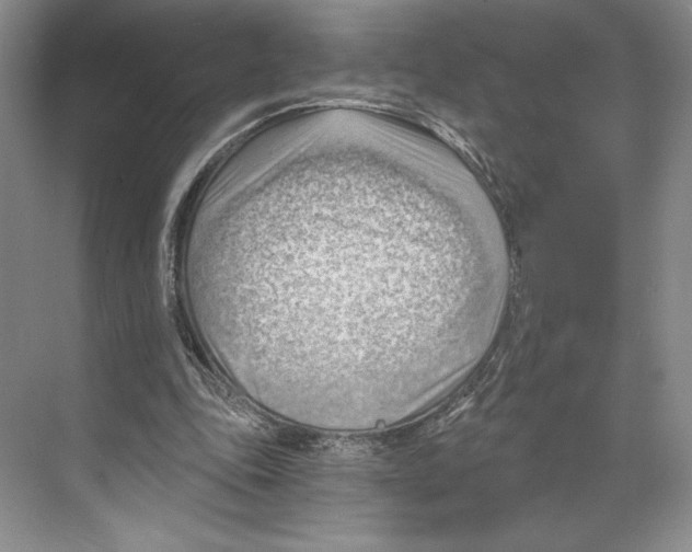 X0000068850343200606021740