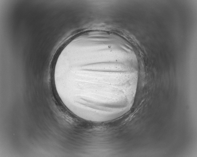 X0000068850344200606021740