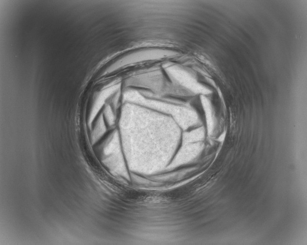 X0000068850348200606021740