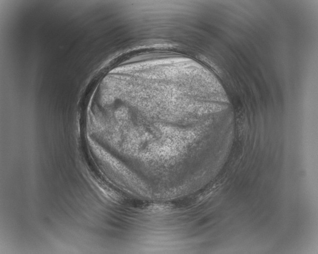 X0000068850350200606021740