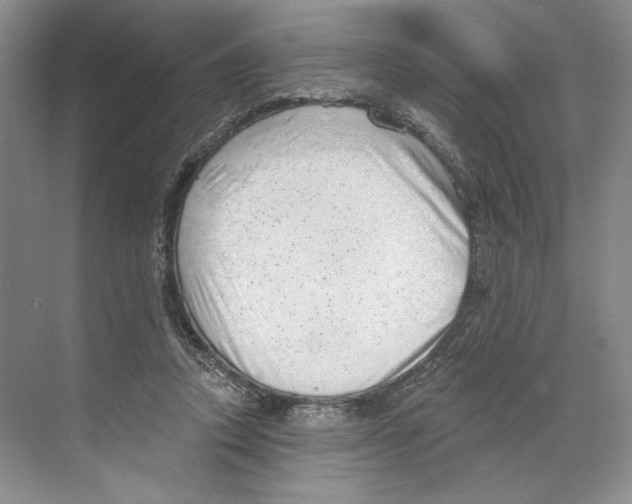 X0000068850354200606021741