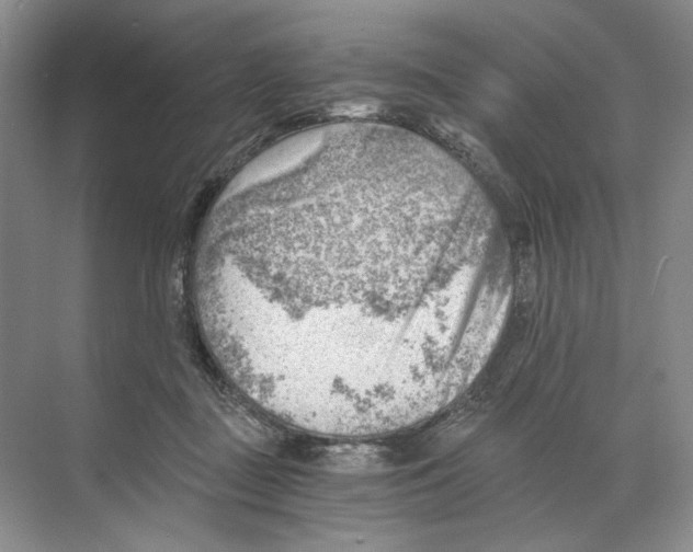 X0000068850363200606021741