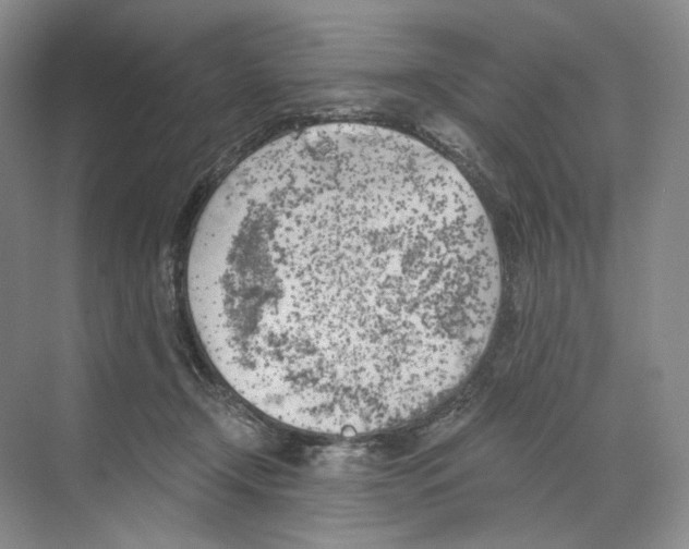 X0000068850366200606021741