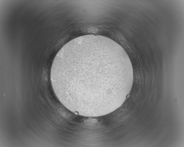 X0000068850374200606021741